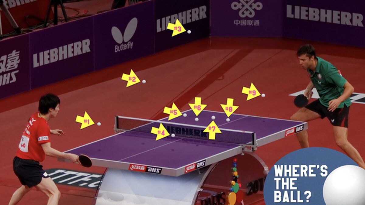 Where's the Ball: Ping Pong Edition image number null